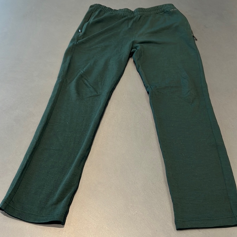 Z Zegna hunter green tech merino wool pants.